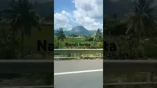 Nandi betta