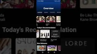 Flutter music app using Spotify api