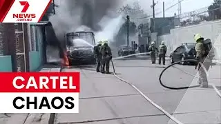 Cartel violence erupts after Mexico's most wanted killed | 7NEWS