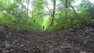 Radon Slide 150 Trail/Downhill