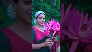 ഞങ്ങളുടെ തിരുവോണ ആഘോഷം.. 🌼🪷🪷@saranyasbeautyvlogs