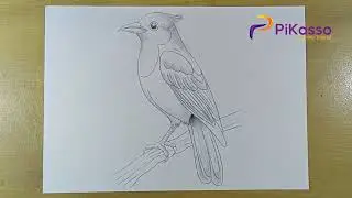 How to Shade a Magpie Drawing