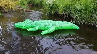 INTEX 58562 - Inflatable Big Beach Green Crocodile 203 CM Floating on the River  - 19.05.2019