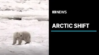 As the Arctic melts, a regime shift is taking place | ABC News