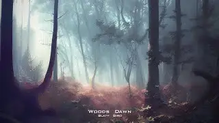 Woods Dawn - Relaxing Background Music of the Forest