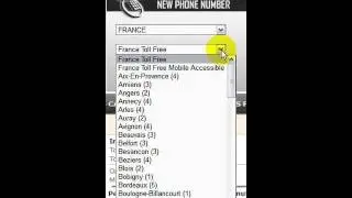 France Local Virtual Phone Numbers for international call forwarding.