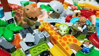 Satisfying Building Blocks ASMR Marble Run JURASSIC WORLD Dinosaur & other animals #337 - live 11