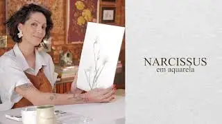 Narcissus em aquarela