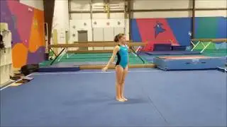 Xcel Bronze Routine 2018-19