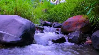 Mountain River Flowing Water Sounds for Deep Sleep and Peaceful Nighttime Rest