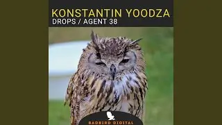 Agent 38