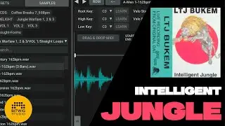 Creating Sample Based Intelligent Jungle (Bitwig Studio)