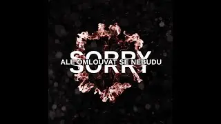JUSTIN CASE - SORRY, ALE OMLOUVAT SE NEBUDU ( OFF. LYRIC VID.)