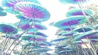 Philadelphia Chinese Lantern Festival 2024