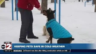 Keeping pets safe in cold weather