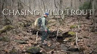 Chasing Blue Lines:  Fly Fishing Off the Beaten Path in North Carolina