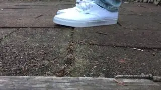 Vans authentic white on feet