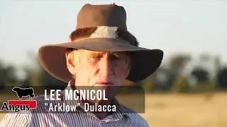 Why Angus - A Queensland Cattleman