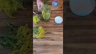 Learn how easy it is to make your own goldenrod tincture  #goldenrod #herbalmedicine