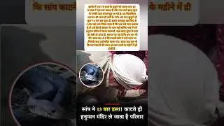 Shocking! 70-Year-Old Man Bitten 14 Times by the SAME Snake in Jhansi &ndash; Miracle Survival Story 😱🐍