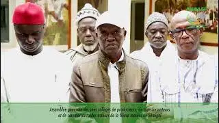 Assemblée générale des acteurs de la filière manioc au Sénégal