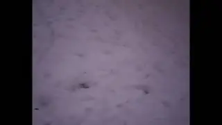 Запуск квадрокоптера