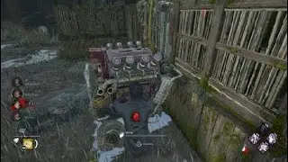 Rat behavior