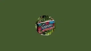 Creative garden decoration ideas