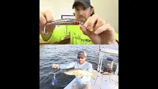 ПРИМАНКА TWITCHING LURE ОТЗЫВЫ
