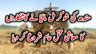 Sindh Sugar Mafia vs Farmers | Economic Crisis Exposed - 