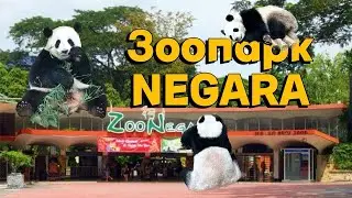 Зоопарк в Куала Лумпур Негара zoo Negara Kuala Lumpur 2026