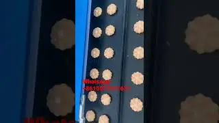 Similar automatic rheon encrusting machine #two color cookie machine #cookie production line