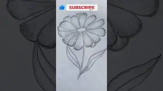How to draw Aster flower/easy flowers drawing#art #drawing #new #viral #flowers #shorts