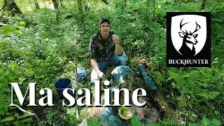 Saline pour chevreuil