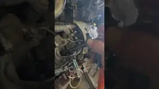 L5PDuramax injector removal#cfarmer #l5pduramax #l5p #L5P #duramax
