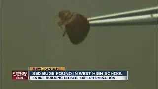 Bedbugs close West High in Denver until Tuesday