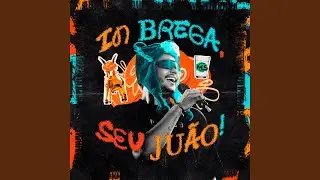 Vou Voando
