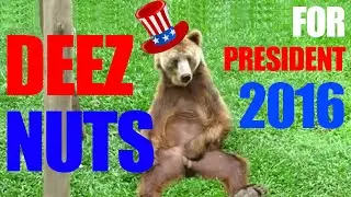 Deez Nuts For President 2016 Presidential Race Poll