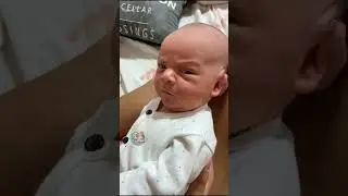 Gangster Baby Chronicles: Tiny Boss Moves Only 👶🕶️💼 #AdamAndElea