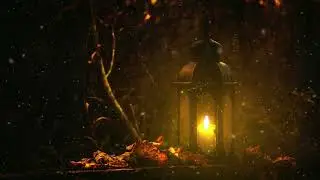 Release Anxiety Heaviness Pain Trauma Through Gentle Night Light Music Therapy...