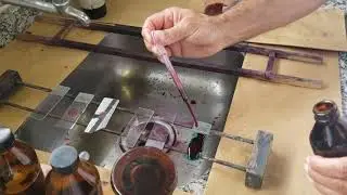 Coloração de Cápsulas