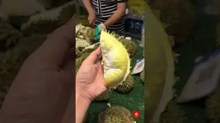 Crazy Speed! Durian Cutting Skills - Thai Street Food