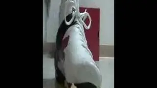 Puma FutureCat crushing Egg Carton