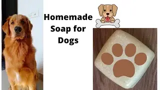 How To Make Homemade Soap for Dogs for Itching , Skin Problems