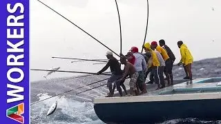Amazing Workers   God Level #19 Fast workers