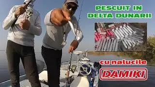 Pescuit in Delta Dunarii cu nalucile Damiki Anchovy Shad 10.2cm - Lacul Bogdaproste - Octombrie 2019