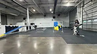 (1/14/26) Agility, Session 1