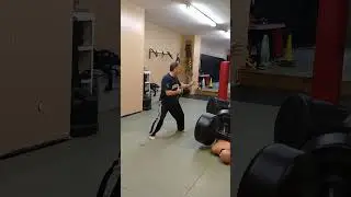 karate crescent kick application