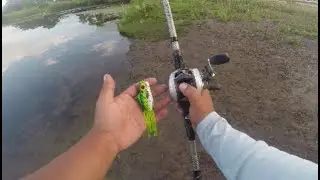 MY FIRST FROG FISH OF THE YEAR!!!