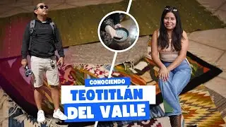 TELARES Y TAPETES 